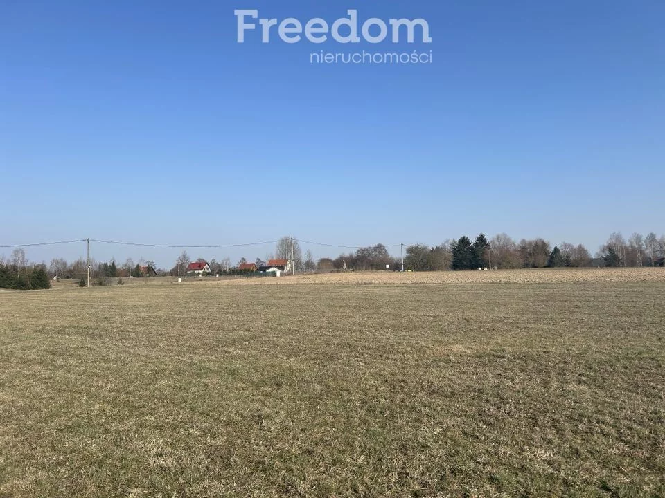 Działka 3 003,00 m², oferta nr , 10238/3685/OGS, Krzywe