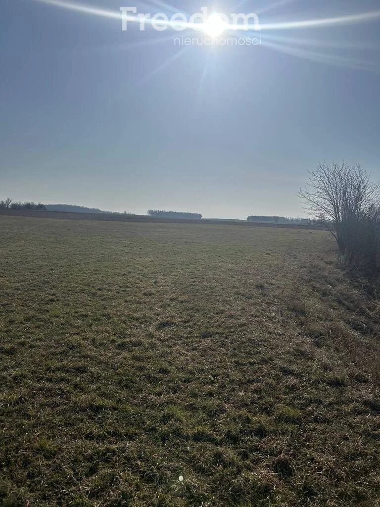 Działka 3 003,00 m², oferta nr , 10238/3685/OGS, Krzywe