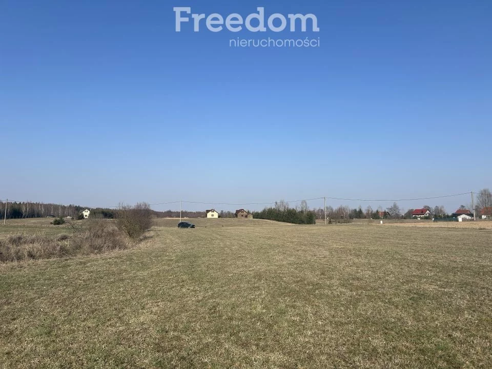 Działka 3 003,00 m², oferta nr , 10238/3685/OGS, Krzywe
