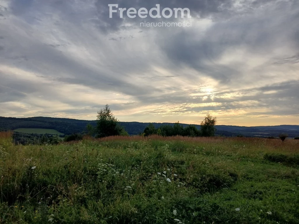 Apartamenty 10948/3685/OGS Krzywe