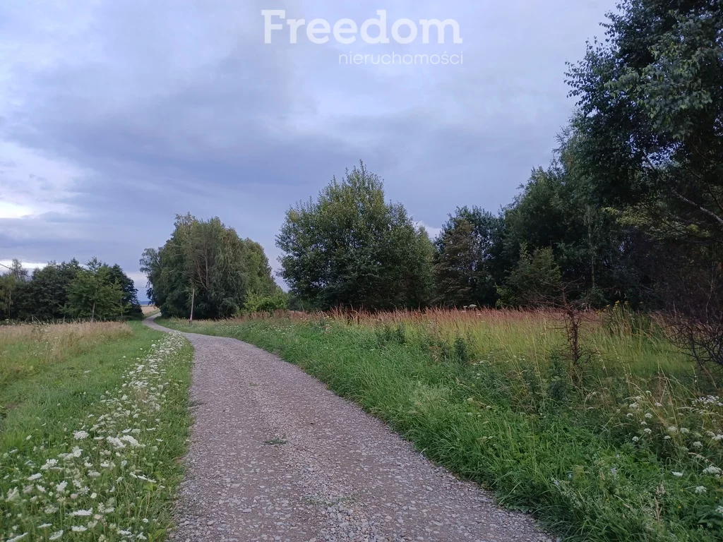 Działka 18 004,00 m², oferta nr , 10948/3685/OGS, Krzywe