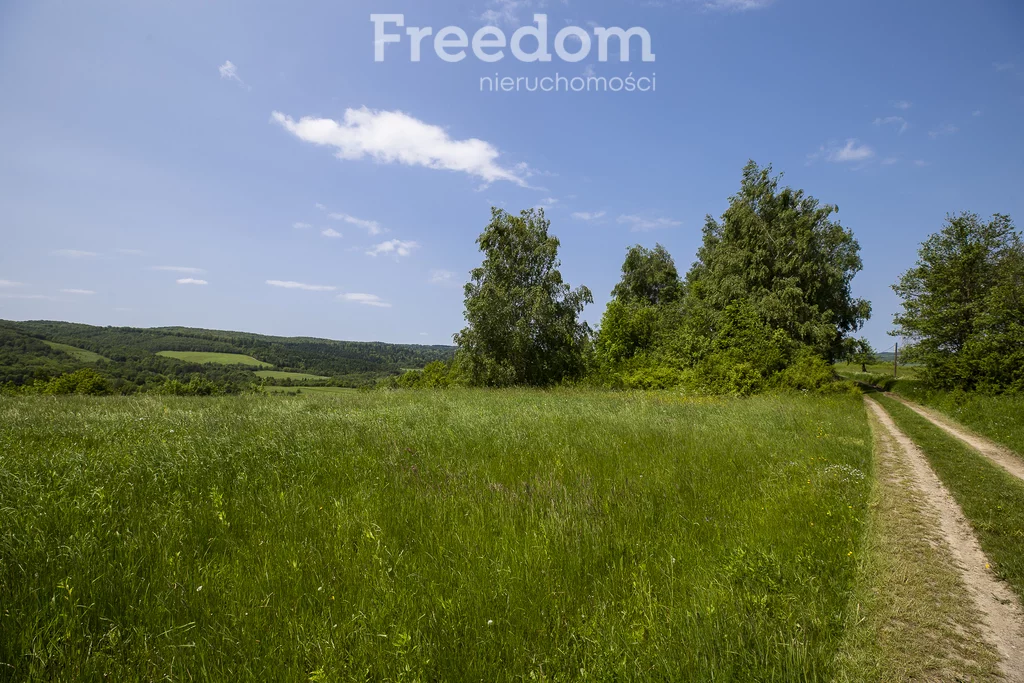 Działka 18 004,00 m², oferta nr , 10948/3685/OGS, Krzywe