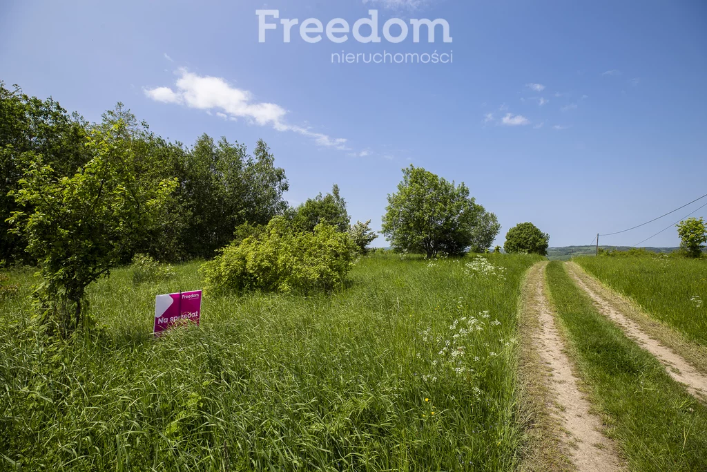 Działka 18 004,00 m², oferta nr , 10948/3685/OGS, Krzywe