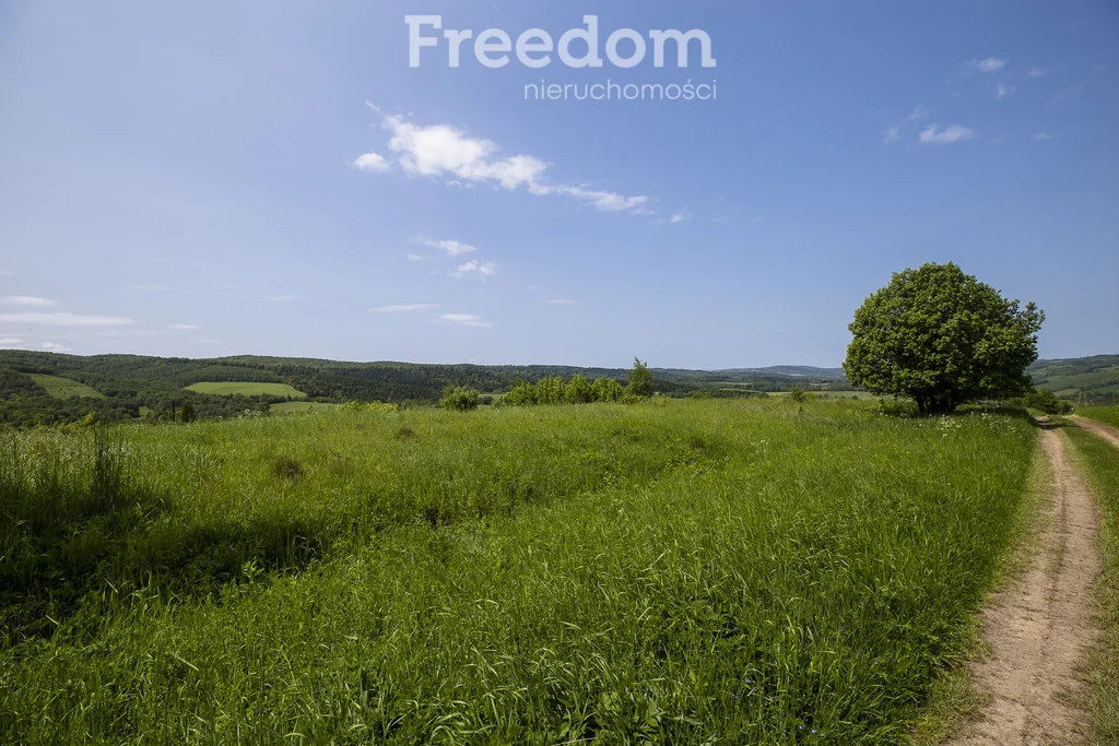 Działka 18 004,00 m², oferta nr , 10948/3685/OGS, Krzywe