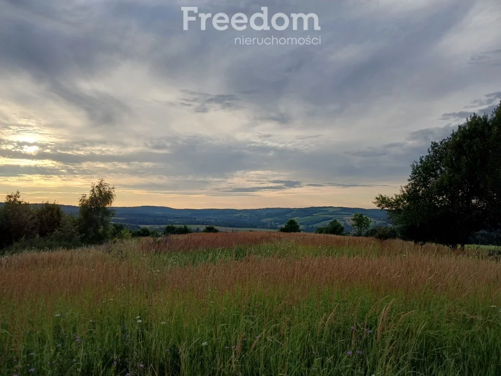 Apartamenty 10949/3685/OGS Krzywe