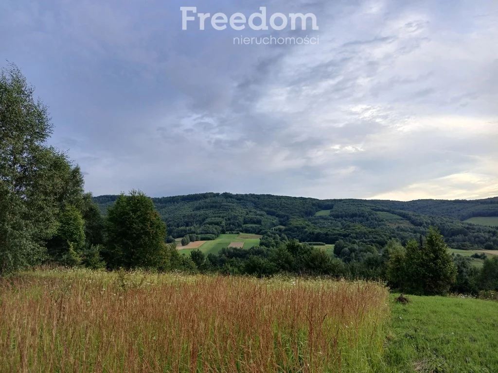 Działka 13 800,00 m², oferta nr , 10949/3685/OGS, Krzywe