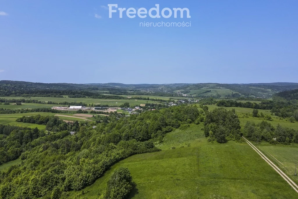 Działka 13 800,00 m², oferta nr , 10949/3685/OGS, Krzywe