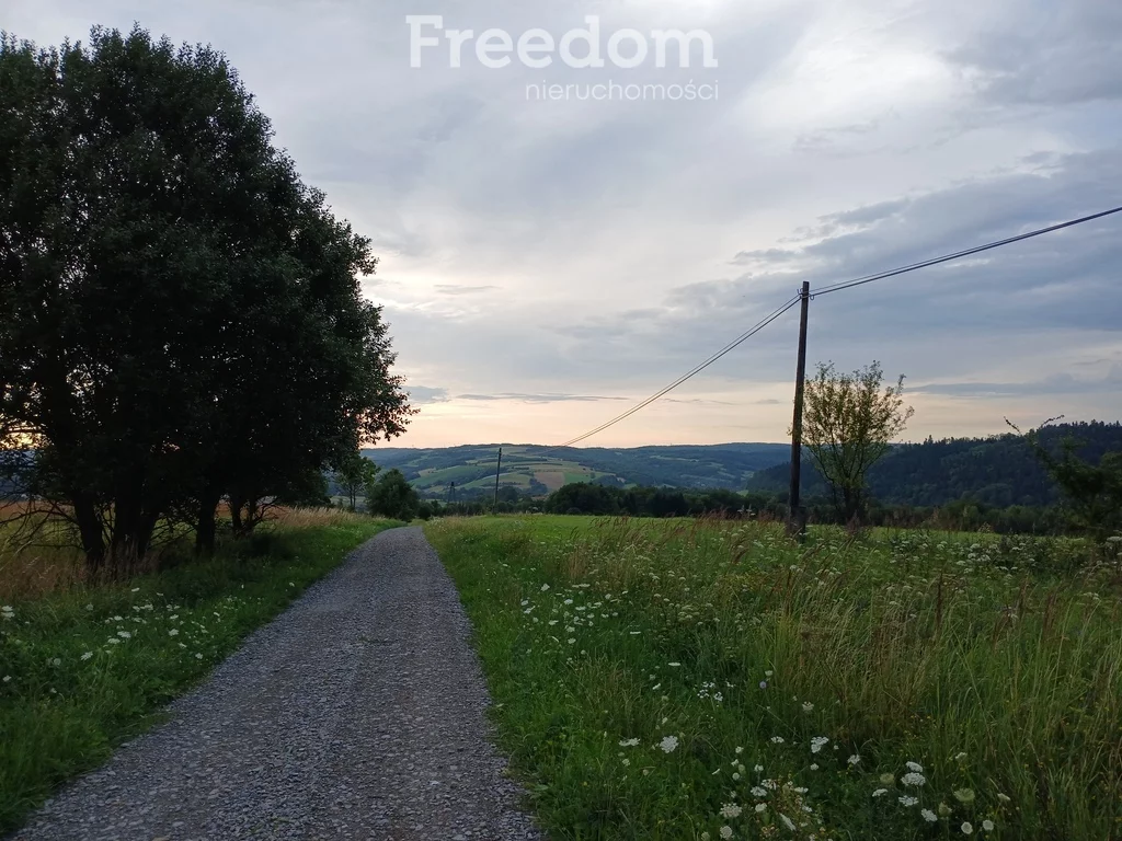 Działka 13 800,00 m², oferta nr , 10949/3685/OGS, Krzywe