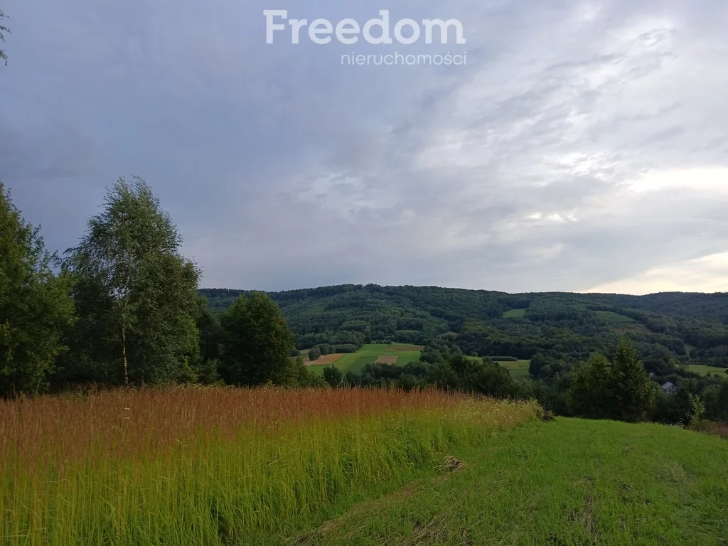 Działka 13 800,00 m², oferta nr , 10949/3685/OGS, Krzywe