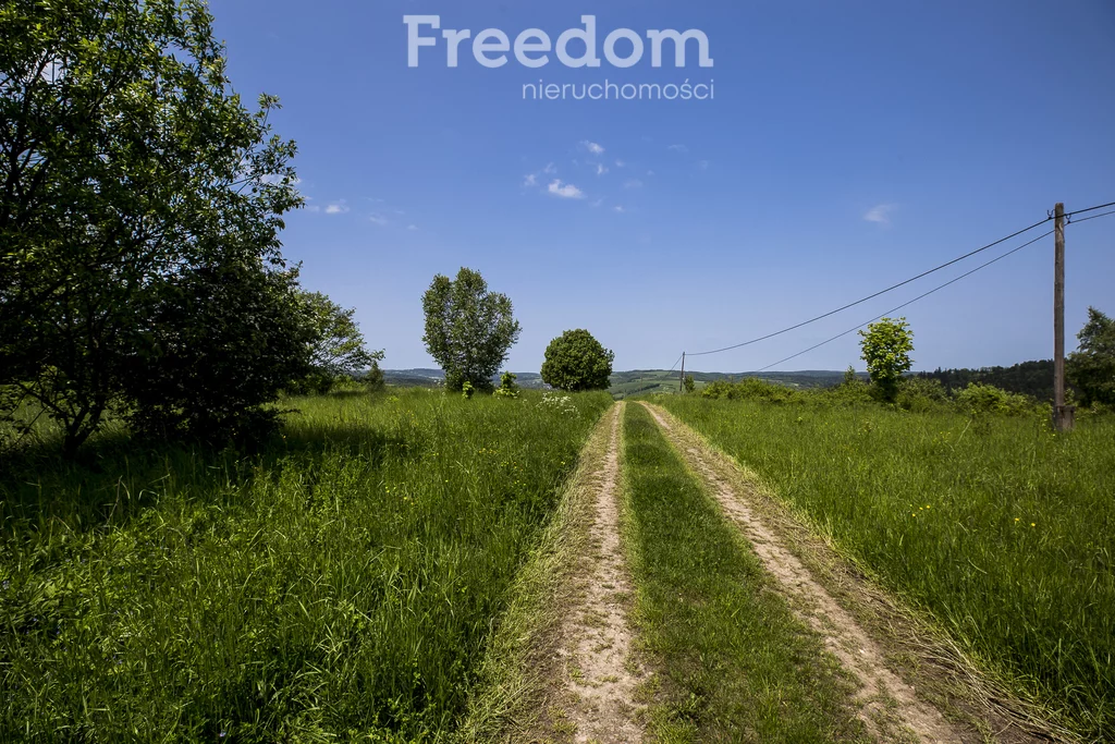 Działka 13 800,00 m², oferta nr , 10949/3685/OGS, Krzywe