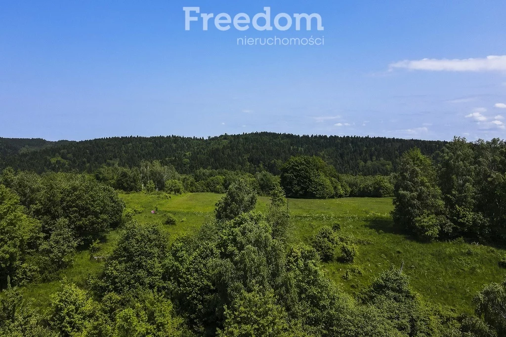 Działka 13 800,00 m², oferta nr , 10949/3685/OGS, Krzywe