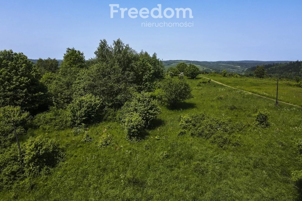 Działka 13 800,00 m², oferta nr , 10949/3685/OGS, Krzywe
