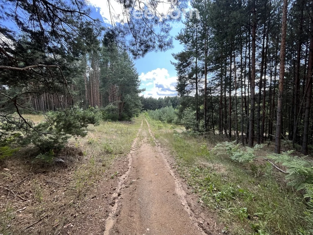 Apartamenty 9591/3685/OGS Nowodworce Krzywe Góry
