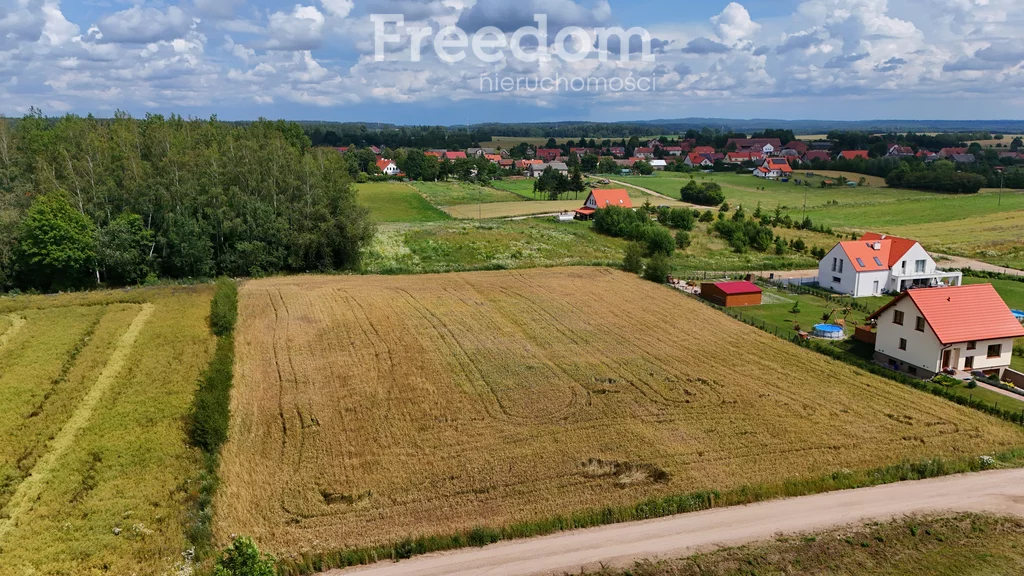 10938/3685/OGS - zdjęcie nr 1