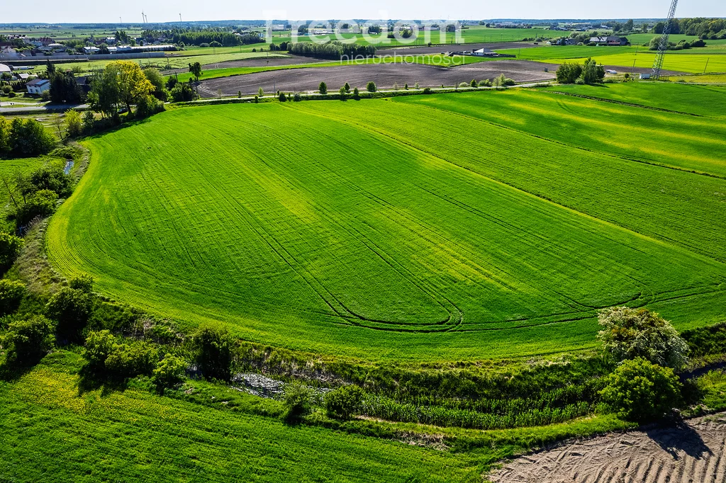 Działka 3 000,00 m², oferta nr , 10686/3685/OGS, Ząbrowo, Kwiatowa