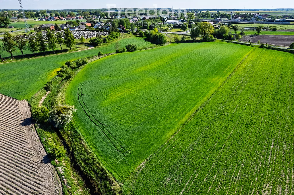 Działka 3 000,00 m², oferta nr , 10686/3685/OGS, Ząbrowo, Kwiatowa