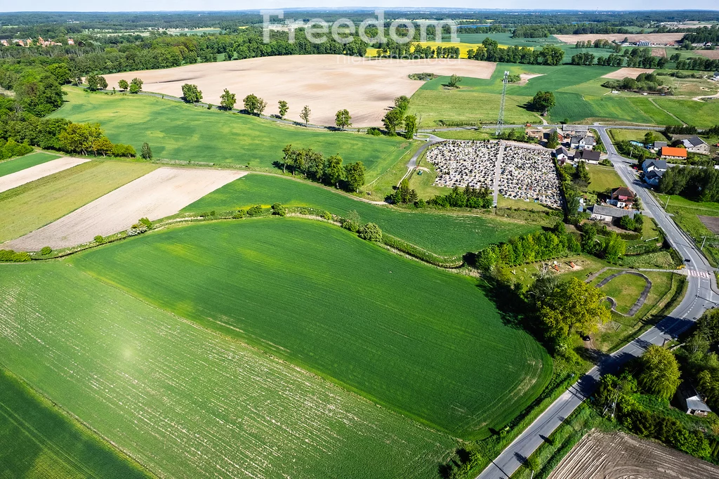 Działka 3 000,00 m², oferta nr , 10686/3685/OGS, Ząbrowo, Kwiatowa