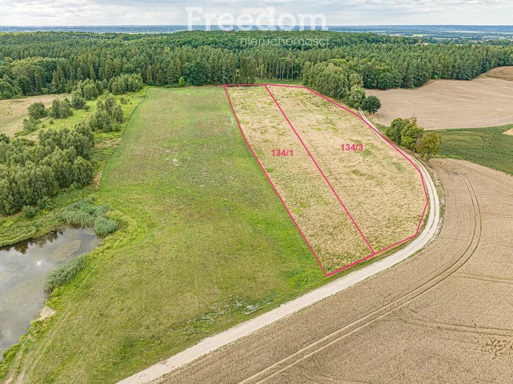 Działka 22 800,00 m², Kwietniewo, Sprzedaż