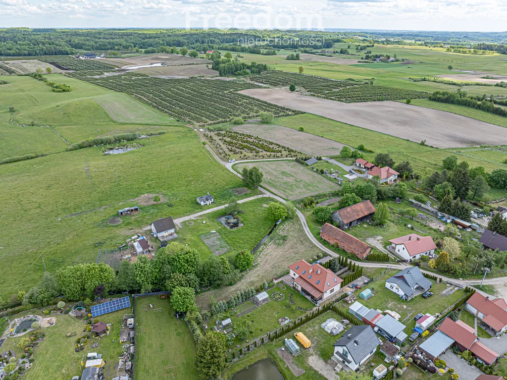 10843/3685/OGS - zdjęcie nr 4