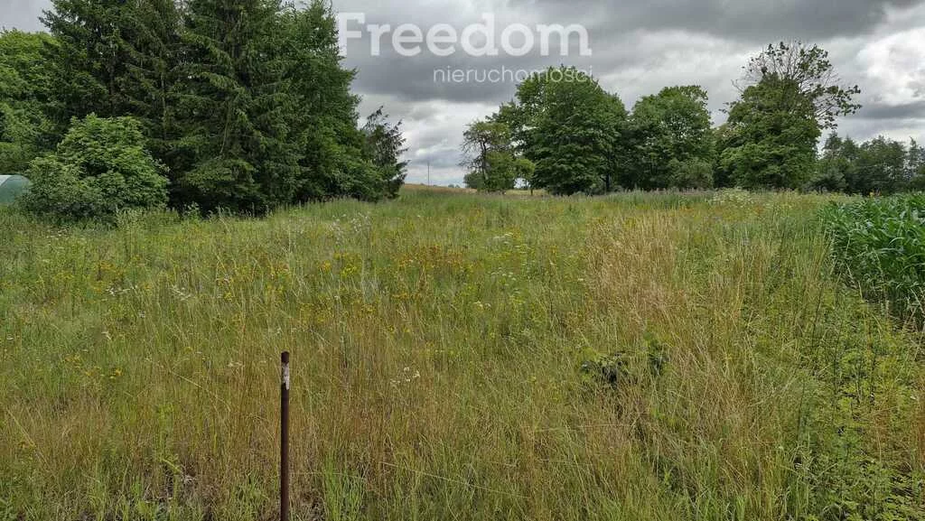Działka 3 217,00 m², oferta nr , 10848/3685/OGS, Łapkiejmy