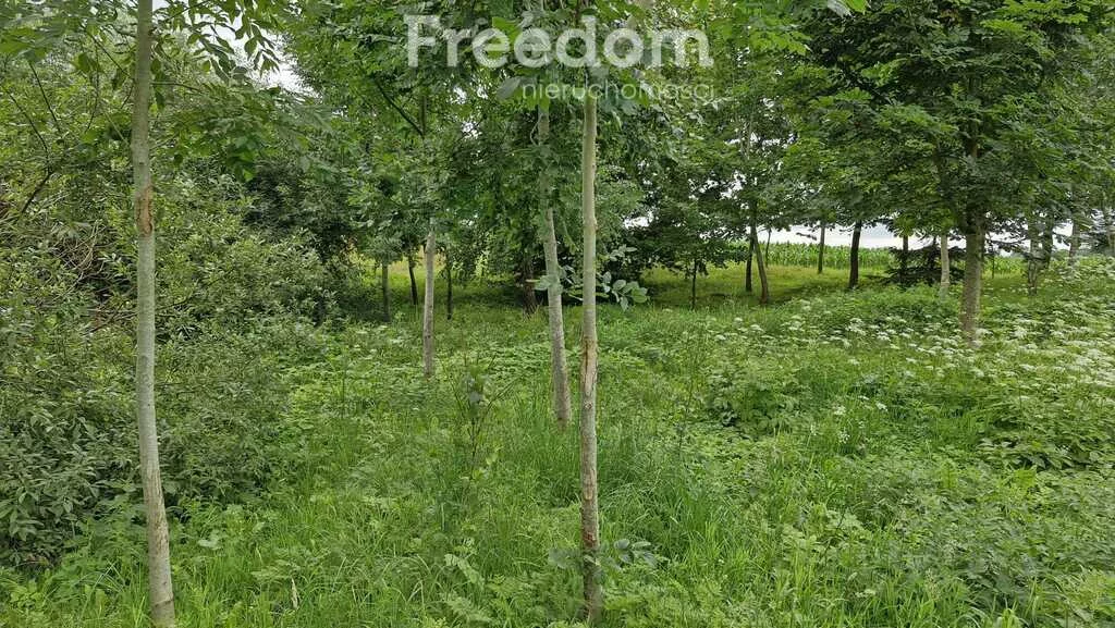 Działka 3 217,00 m², oferta nr , 10848/3685/OGS, Łapkiejmy