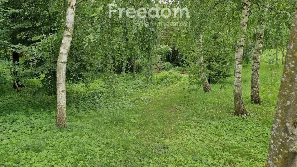 Działka 3 217,00 m², oferta nr , 10848/3685/OGS, Łapkiejmy