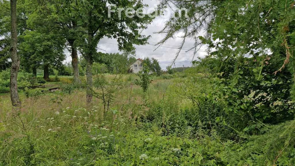 10849/3685/OGS - zdjęcie nr 3