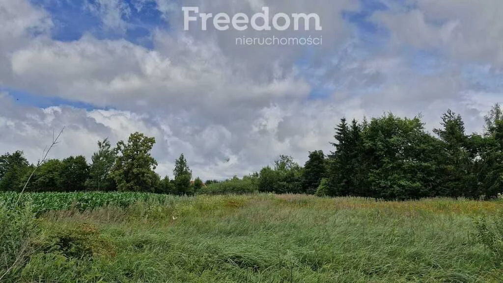 Działka 3 735,00 m², oferta nr , 10841/3685/OGS, Łapkiejmy