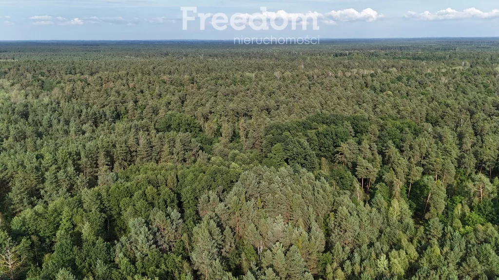 Działka 4 662,00 m², oferta nr , 11289/3685/OGS, Ostrowiec Świętokrzyski, Las Rzeczki