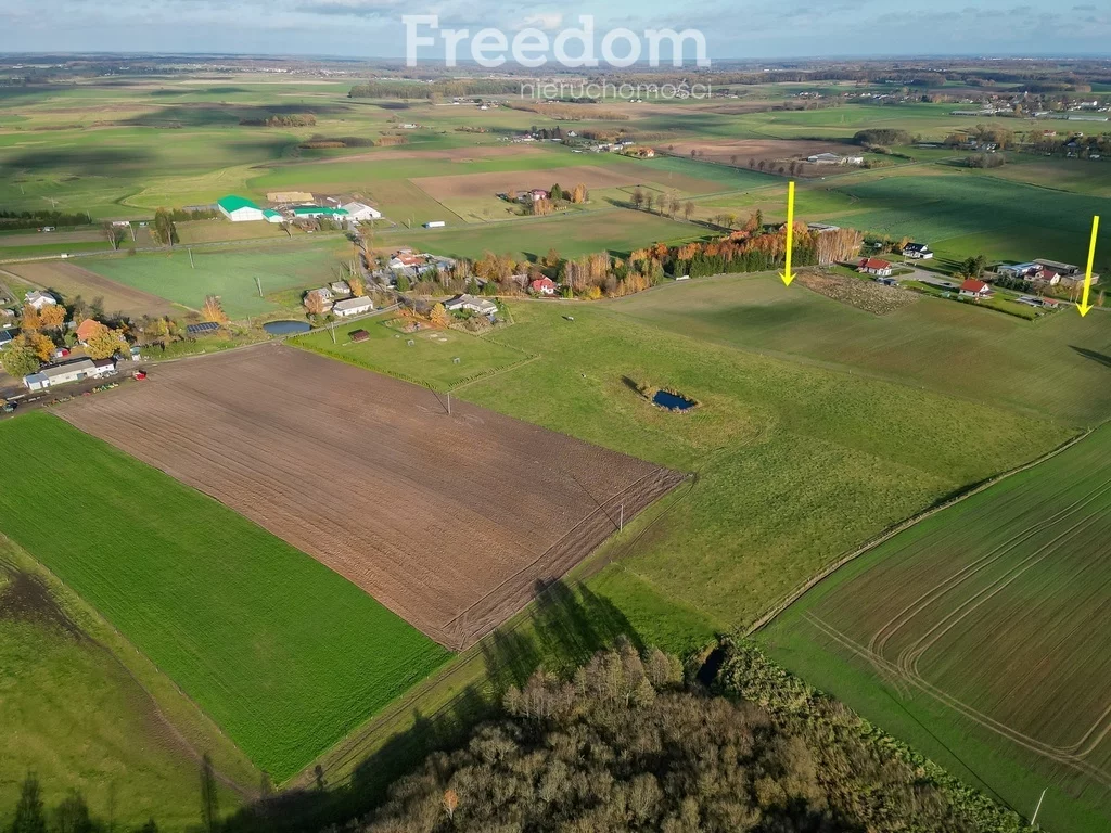Działka 3 000,00 m², oferta nr , 11257/3685/OGS, Laseczno