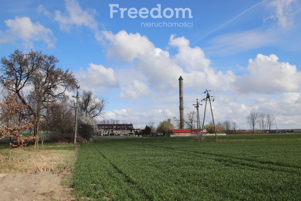 Działka 6 998,00 m², oferta nr , 10516/3685/OGS, Krośniewice, Łęczycka