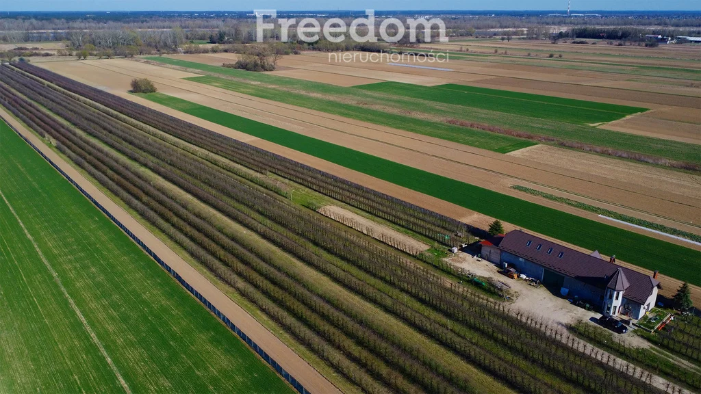 Działka 58 000,00 m², oferta nr , 10342/3685/OGS, Łęg