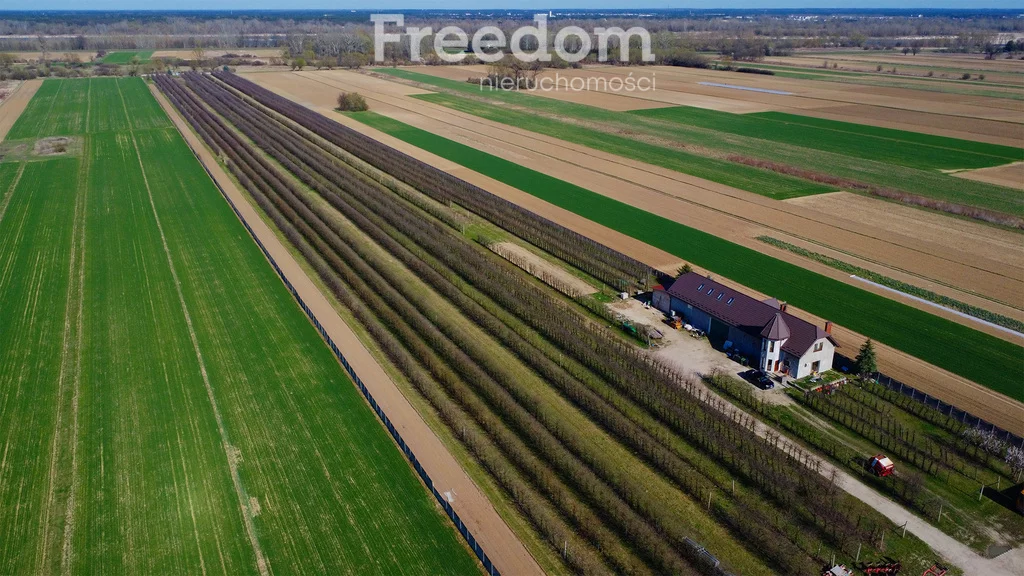 Działka 58 000,00 m², oferta nr , 10342/3685/OGS, Łęg