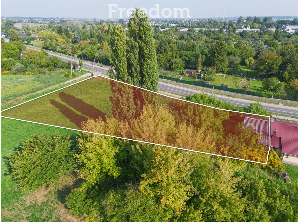 Działka 2 621,00 m², oferta nr , 11106/3685/OGS, Ciechanów, Leśna