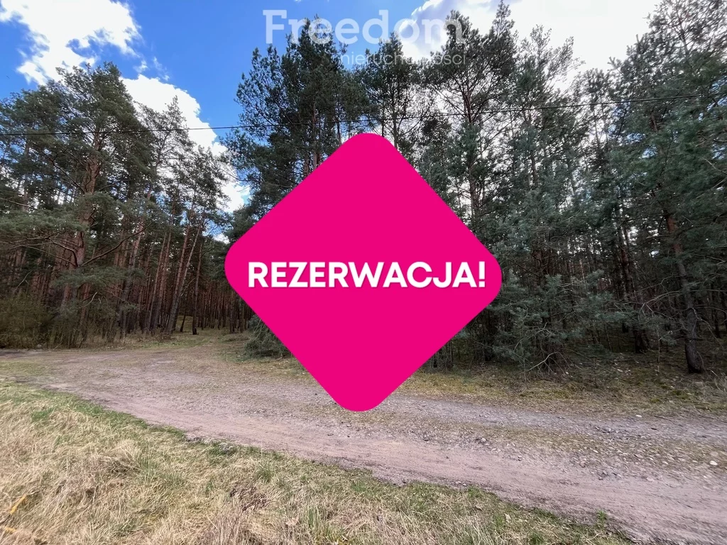 10327/3685/OGS - zdjęcie nr 4