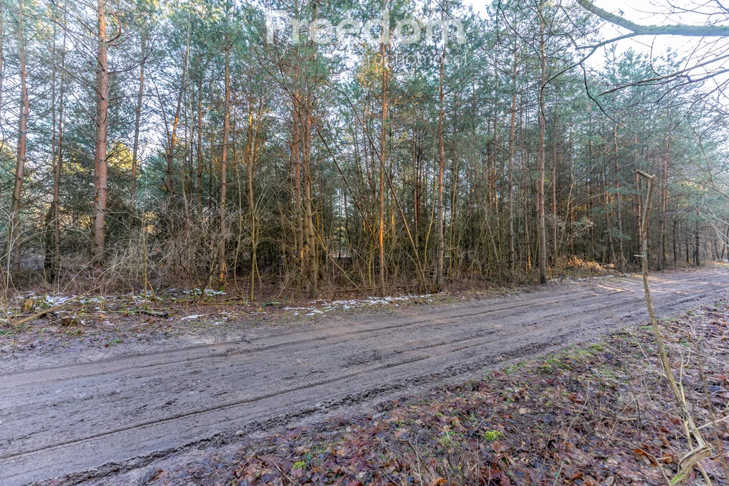 Działka 11 932,00 m², oferta nr , 9852/3685/OGS, Świętochów, Leśna