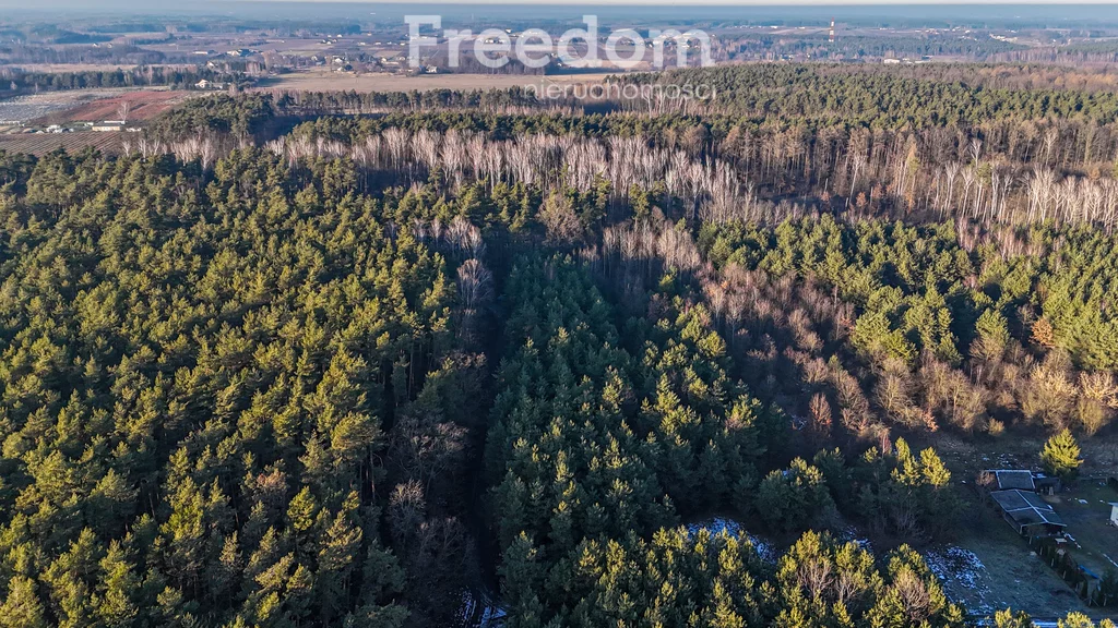 Działka 11 932,00 m², oferta nr , 9852/3685/OGS, Świętochów, Leśna