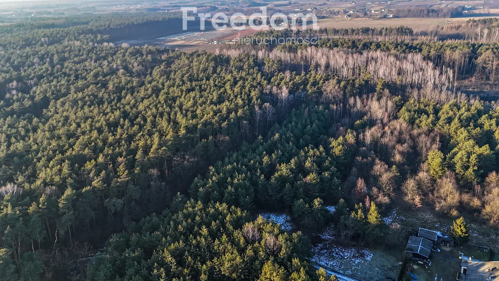 Działka 11 932,00 m², oferta nr , 9852/3685/OGS, Świętochów, Leśna