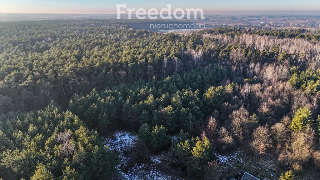 Działka 11 932,00 m², oferta nr , 9852/3685/OGS, Świętochów, Leśna
