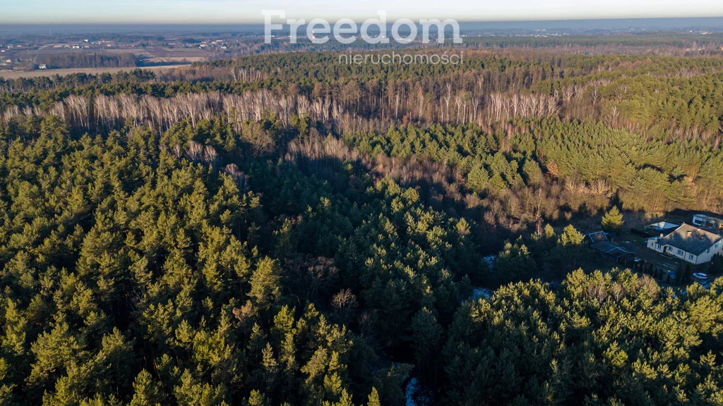 Działka 11 932,00 m², oferta nr , 9852/3685/OGS, Świętochów, Leśna