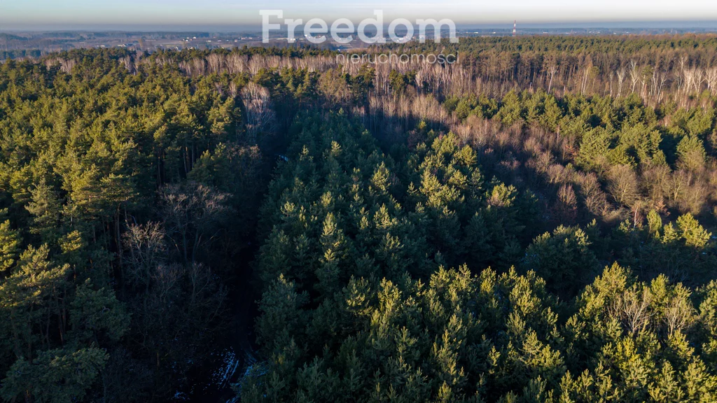 Działka 11 932,00 m², oferta nr , 9852/3685/OGS, Świętochów, Leśna