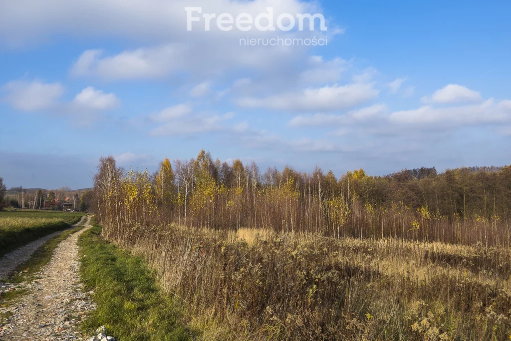 Działka 3 585,00 m², oferta nr , 9204/3685/OGS, Rzeszów, Leśne Wzgórze