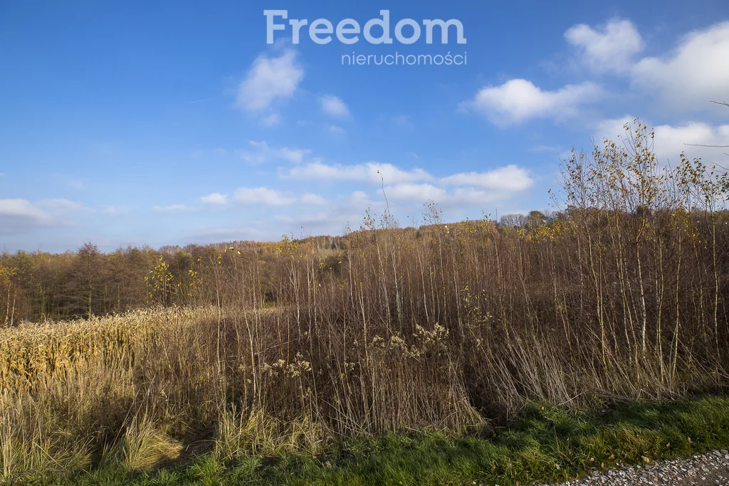 Działka 3 585,00 m², oferta nr , 9204/3685/OGS, Rzeszów, Leśne Wzgórze