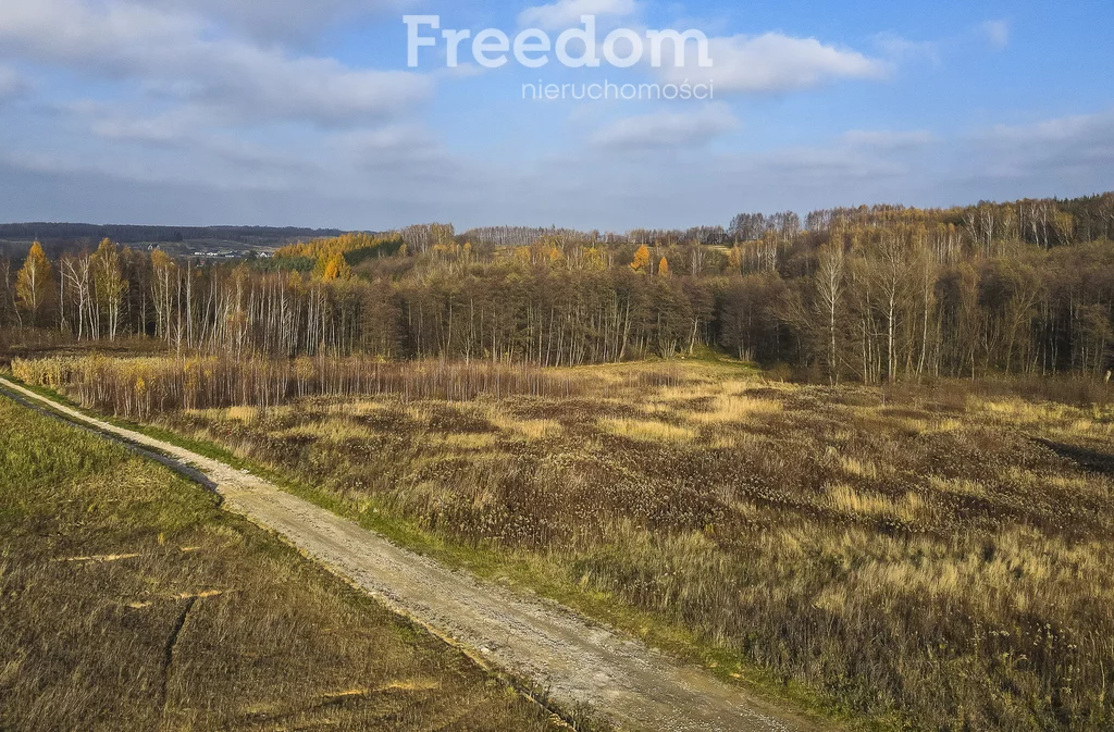 Działka 3 585,00 m², oferta nr , 9204/3685/OGS, Rzeszów, Leśne Wzgórze