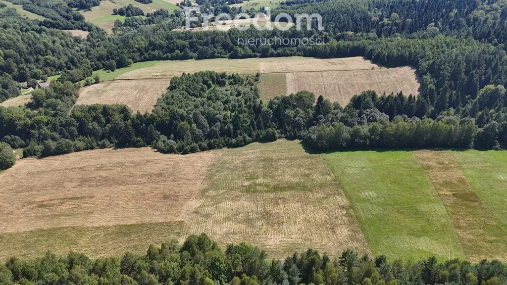 Działka 17 000,00 m², oferta nr , 11032/3685/OGS, Leszczawka