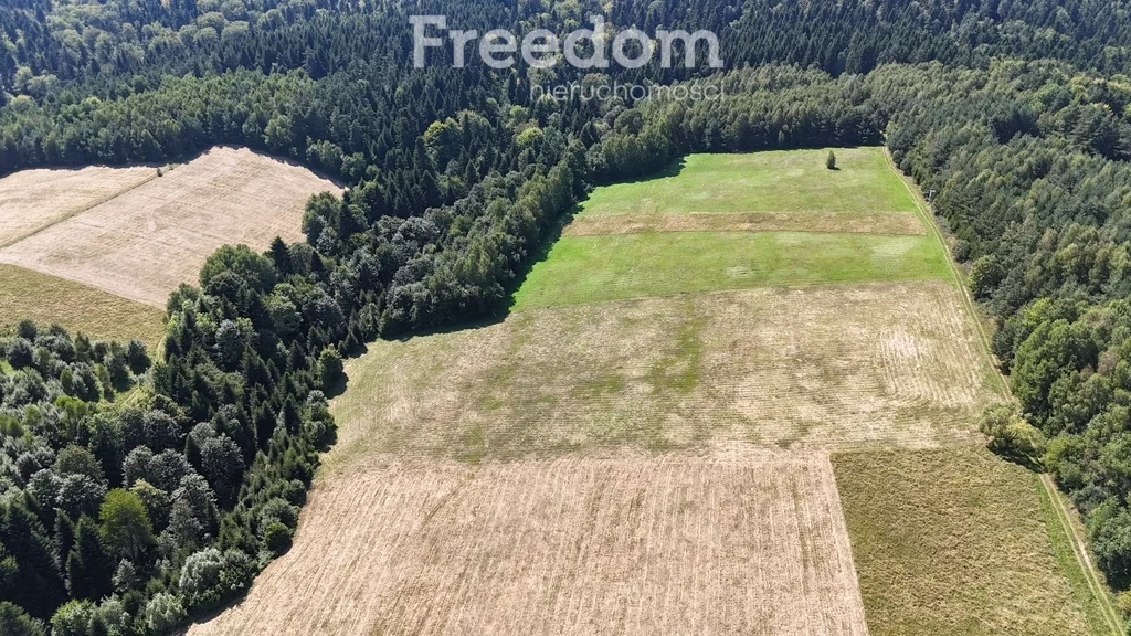 Działka 17 000,00 m², oferta nr , 11032/3685/OGS, Leszczawka