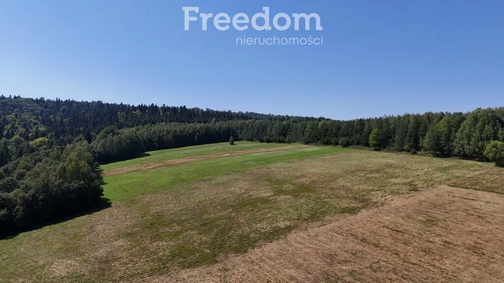 Działka 17 000,00 m², oferta nr , 11032/3685/OGS, Leszczawka