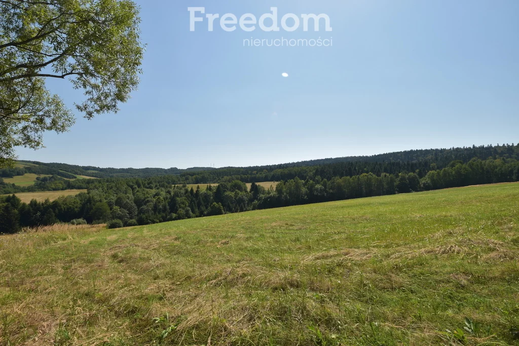 Działka 17 000,00 m², oferta nr , 11032/3685/OGS, Leszczawka