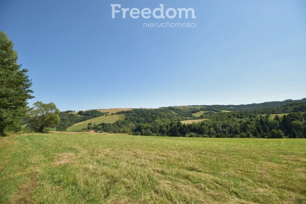 Działka 17 000,00 m², oferta nr , 11032/3685/OGS, Leszczawka