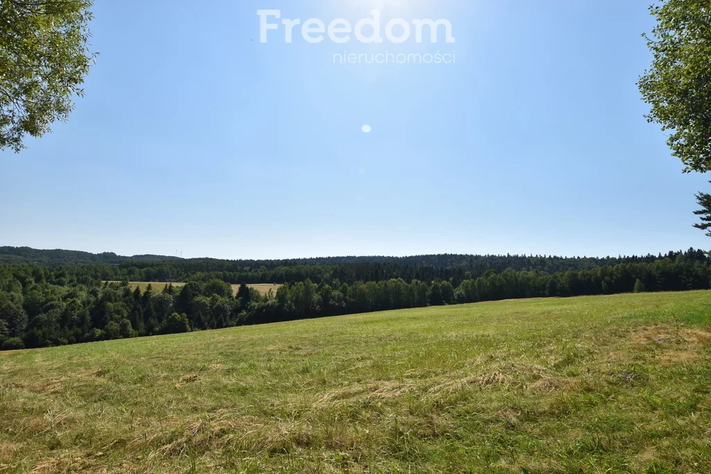 Działka 17 000,00 m², oferta nr , 11032/3685/OGS, Leszczawka